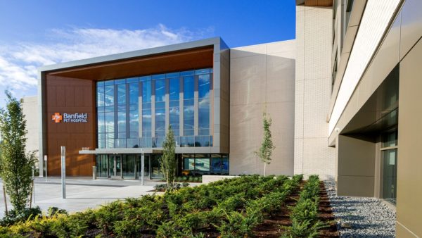 Office Architects_10_Portland_Banfield Corp HQ